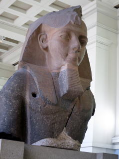 �����Z�X2����