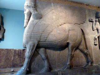 �l�ʗL���Y����